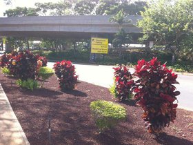 The airport in Honolulu is surprisingly scenic to.jpg